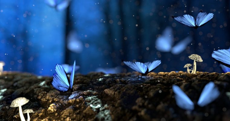 A Day in an African Lesbian’s Life 6