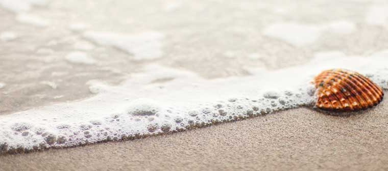 A DAY IN AN AFRICAN LESBIAN’S LIFE 18